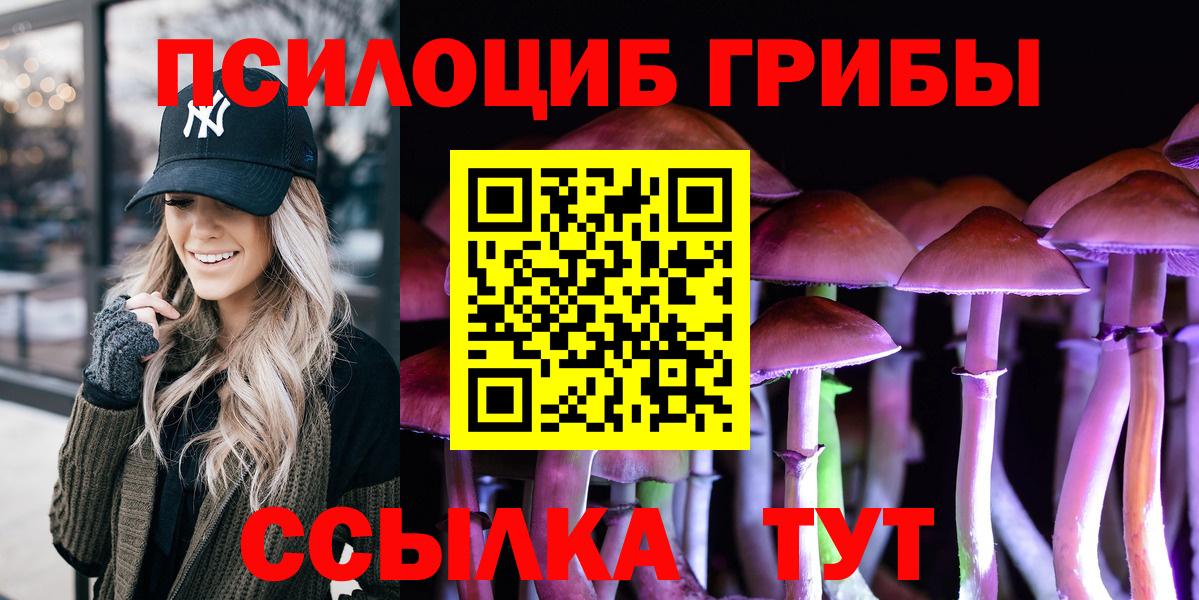 Галлюциногенные грибы Psilocybine cubensis  Вход с VPN  Псилоцибиновые грибы Psilocybe  Новочебоксарск 